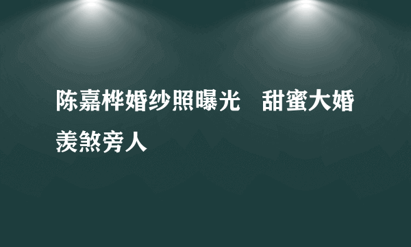 陈嘉桦婚纱照曝光   甜蜜大婚羡煞旁人