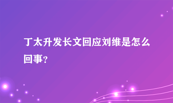 丁太升发长文回应刘维是怎么回事？