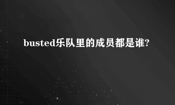 busted乐队里的成员都是谁?