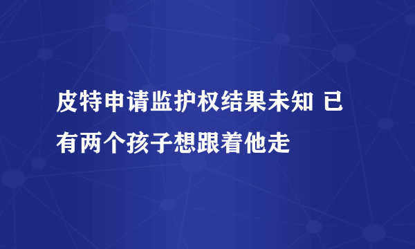 皮特申请监护权结果未知 已有两个孩子想跟着他走