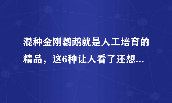 混种金刚鹦鹉就是人工培育的精品，这6种让人看了还想看，收藏