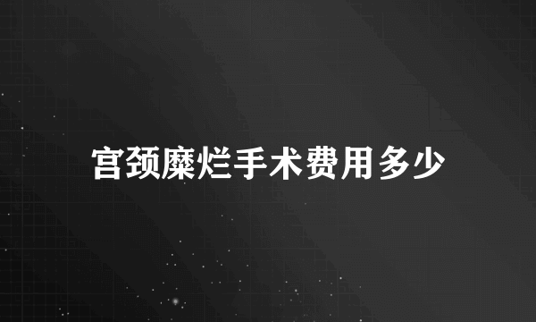 宫颈糜烂手术费用多少