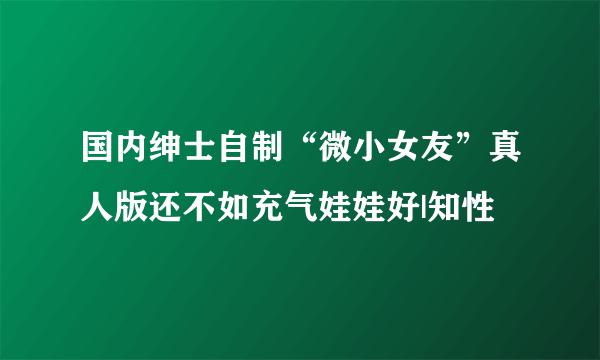 国内绅士自制“微小女友”真人版还不如充气娃娃好|知性