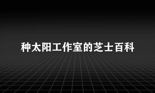 种太阳工作室的芝士百科