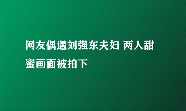 网友偶遇刘强东夫妇 两人甜蜜画面被拍下