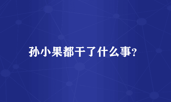 孙小果都干了什么事？