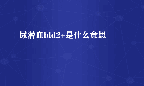 尿潜血bld2+是什么意思