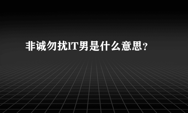 非诚勿扰lT男是什么意思？