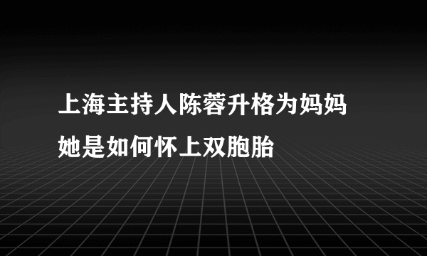 上海主持人陈蓉升格为妈妈   她是如何怀上双胞胎