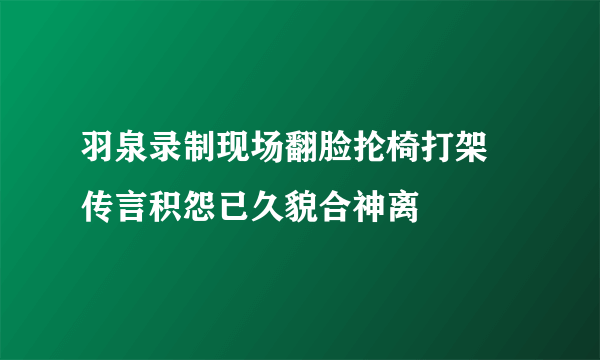 羽泉录制现场翻脸抡椅打架 传言积怨已久貌合神离