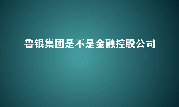 鲁银集团是不是金融控股公司