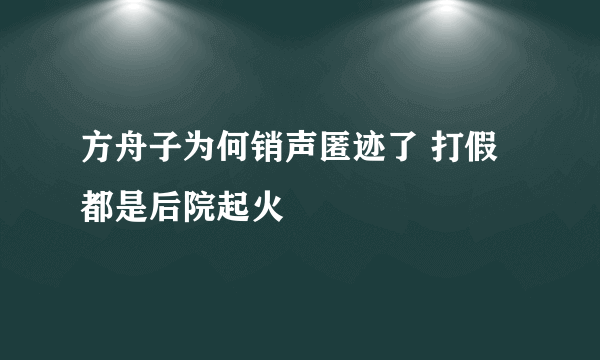 方舟子为何销声匿迹了 打假都是后院起火