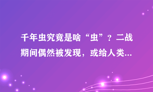 千年虫究竟是啥“虫”？二战期间偶然被发现，或给人类带来危机！