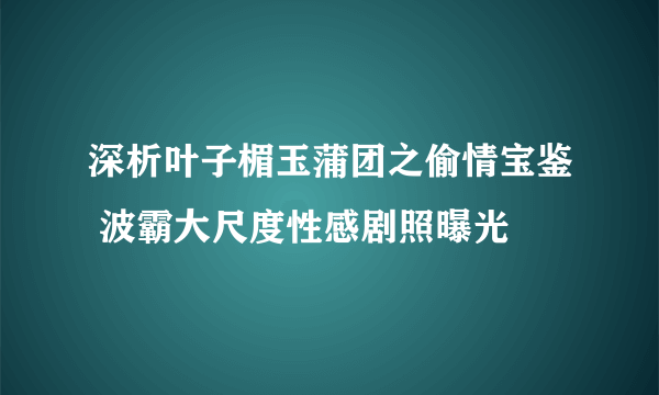 深析叶子楣玉蒲团之偷情宝鉴 波霸大尺度性感剧照曝光