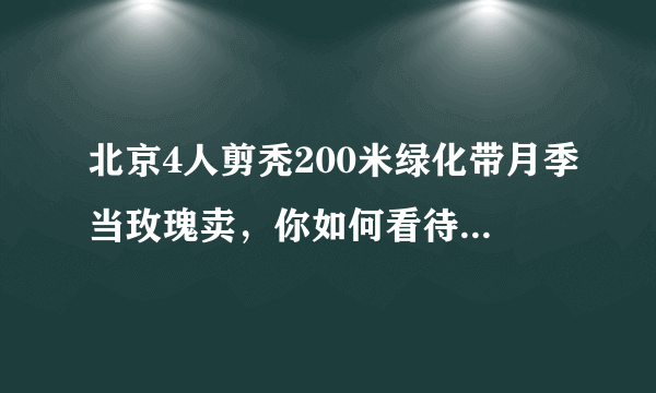 北京4人剪秃200米绿化带月季当玫瑰卖，你如何看待他们的这一行为？