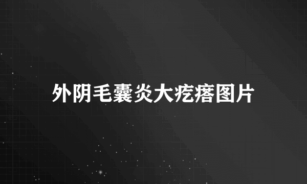 外阴毛囊炎大疙瘩图片