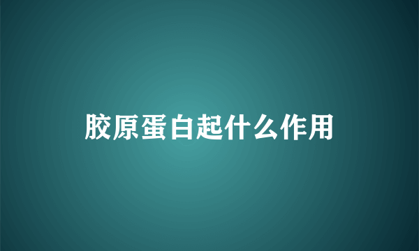 胶原蛋白起什么作用