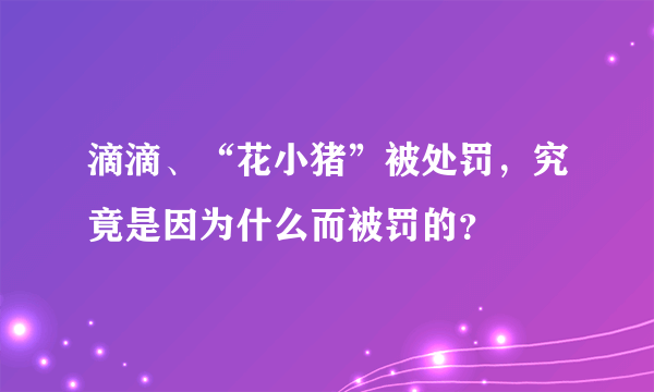 滴滴、“花小猪”被处罚，究竟是因为什么而被罚的？