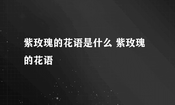 紫玫瑰的花语是什么 紫玫瑰的花语