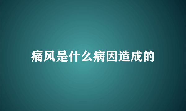 痛风是什么病因造成的