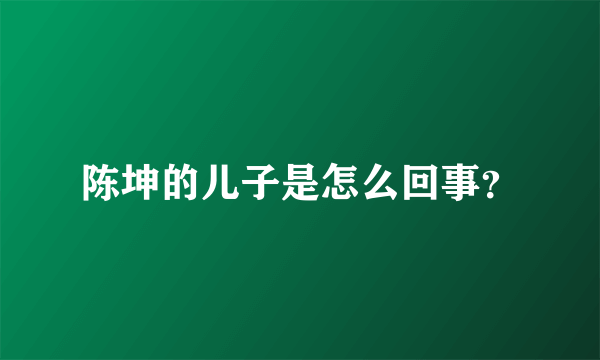 陈坤的儿子是怎么回事？