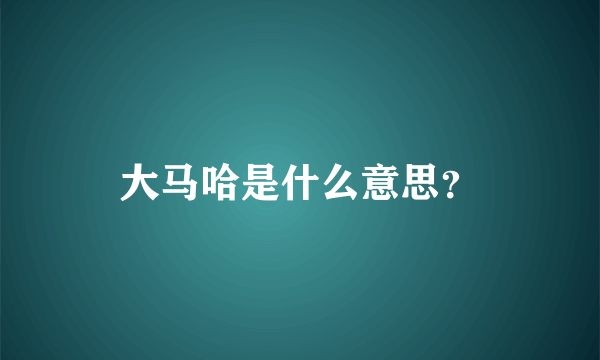 大马哈是什么意思？