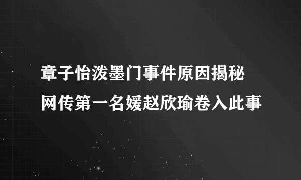 章子怡泼墨门事件原因揭秘  网传第一名媛赵欣瑜卷入此事